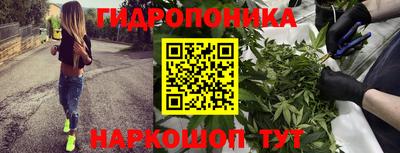 кокс Пугачёв