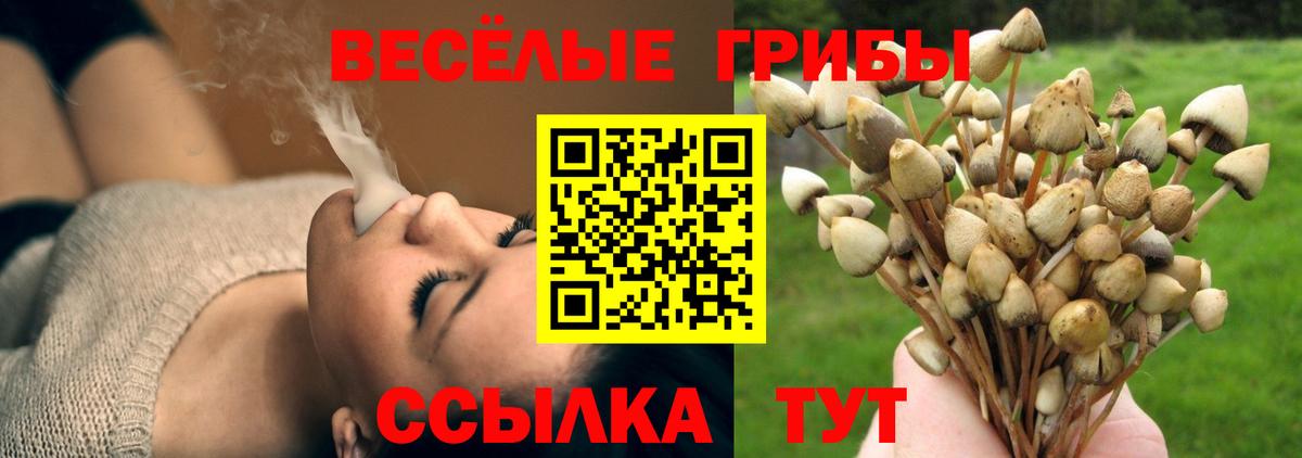 Псилоцибиновые грибы Psilocybine cubensis  Галлюциногенные грибы MAGIC MUSHROOMS  Пыть-Ях  Вход с VPN 